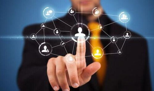 眉山网络广告品质保证与咨询策划服务 打造高效、可信的数字营销引擎